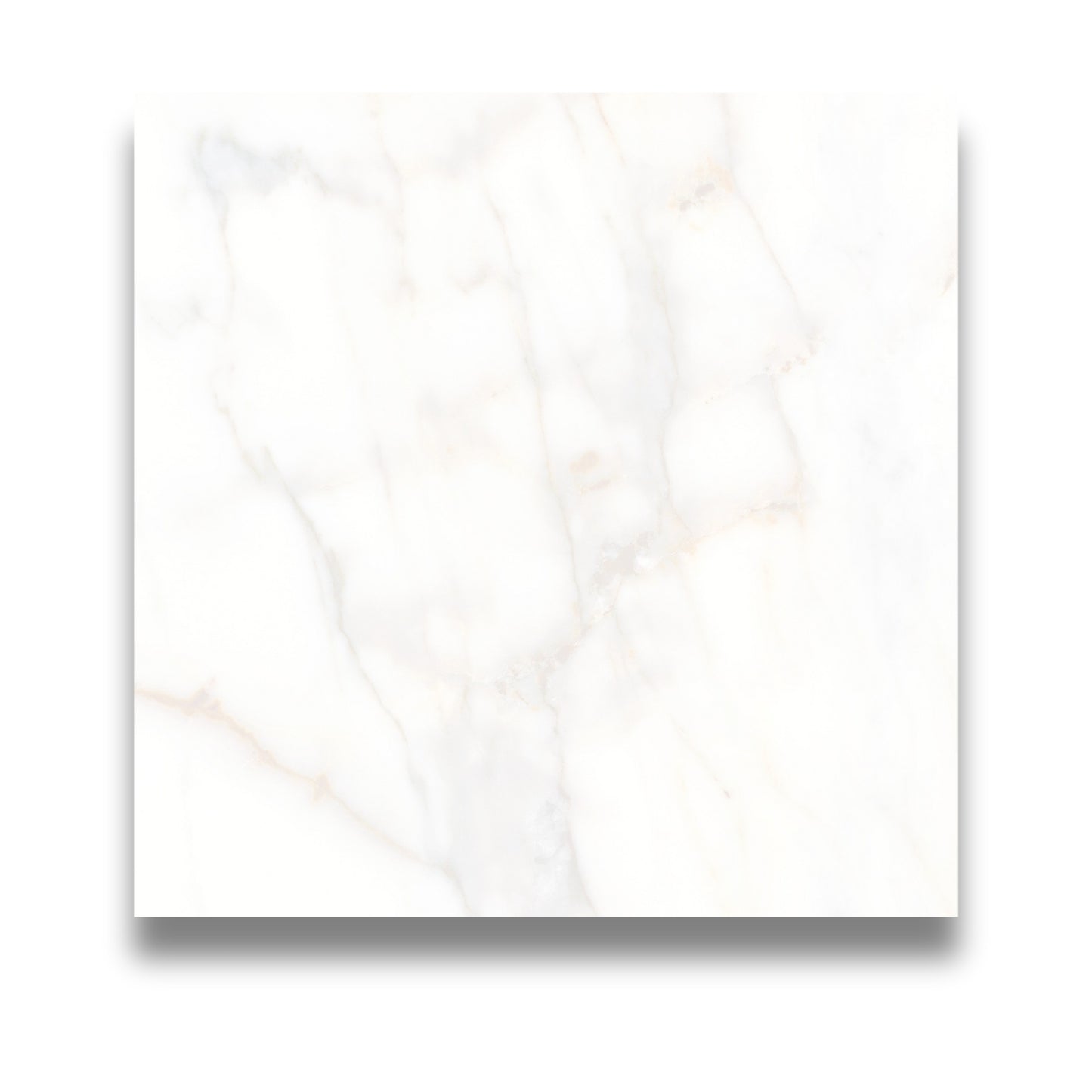 Calacatta Gold Polished 600x600mm
