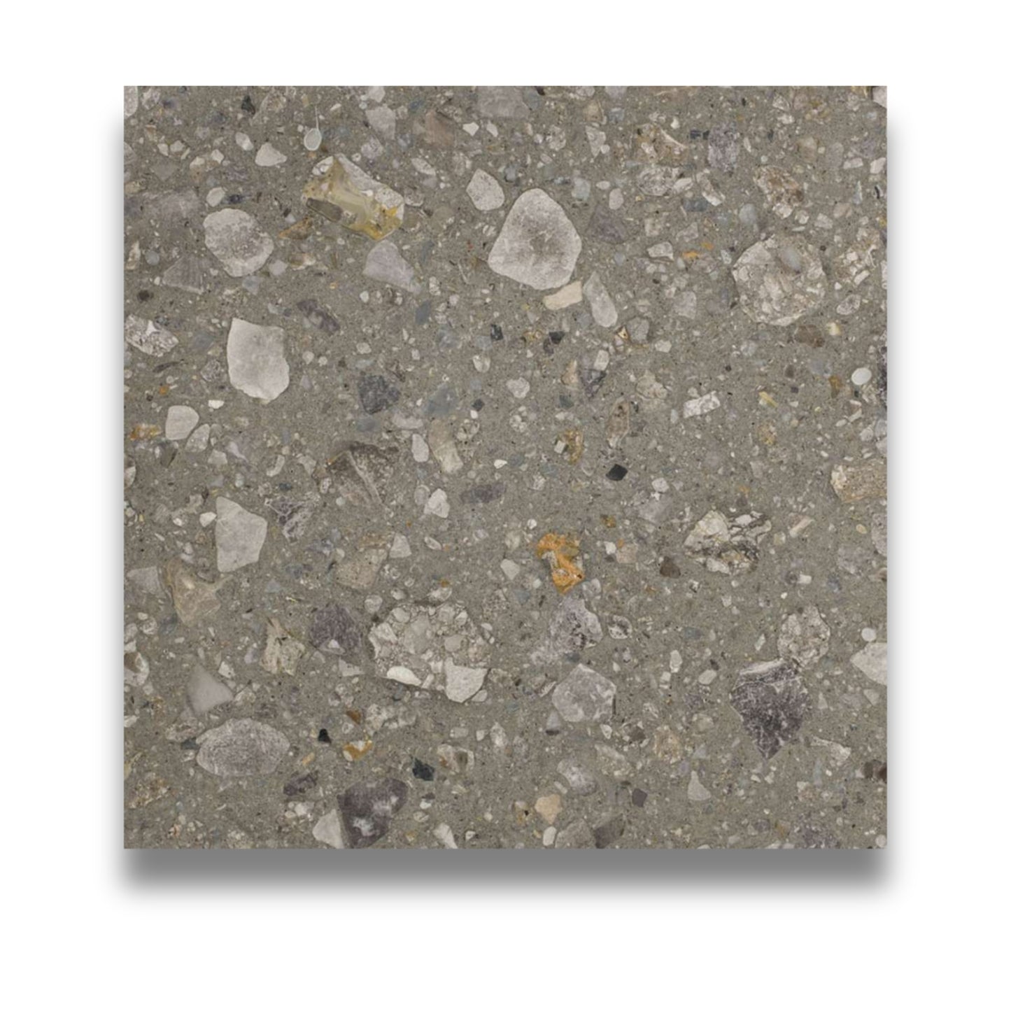 Agglo Ceppo Dark Honed 600x600mm