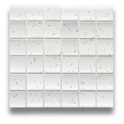 Raku Speckle White Matt 48x48mm