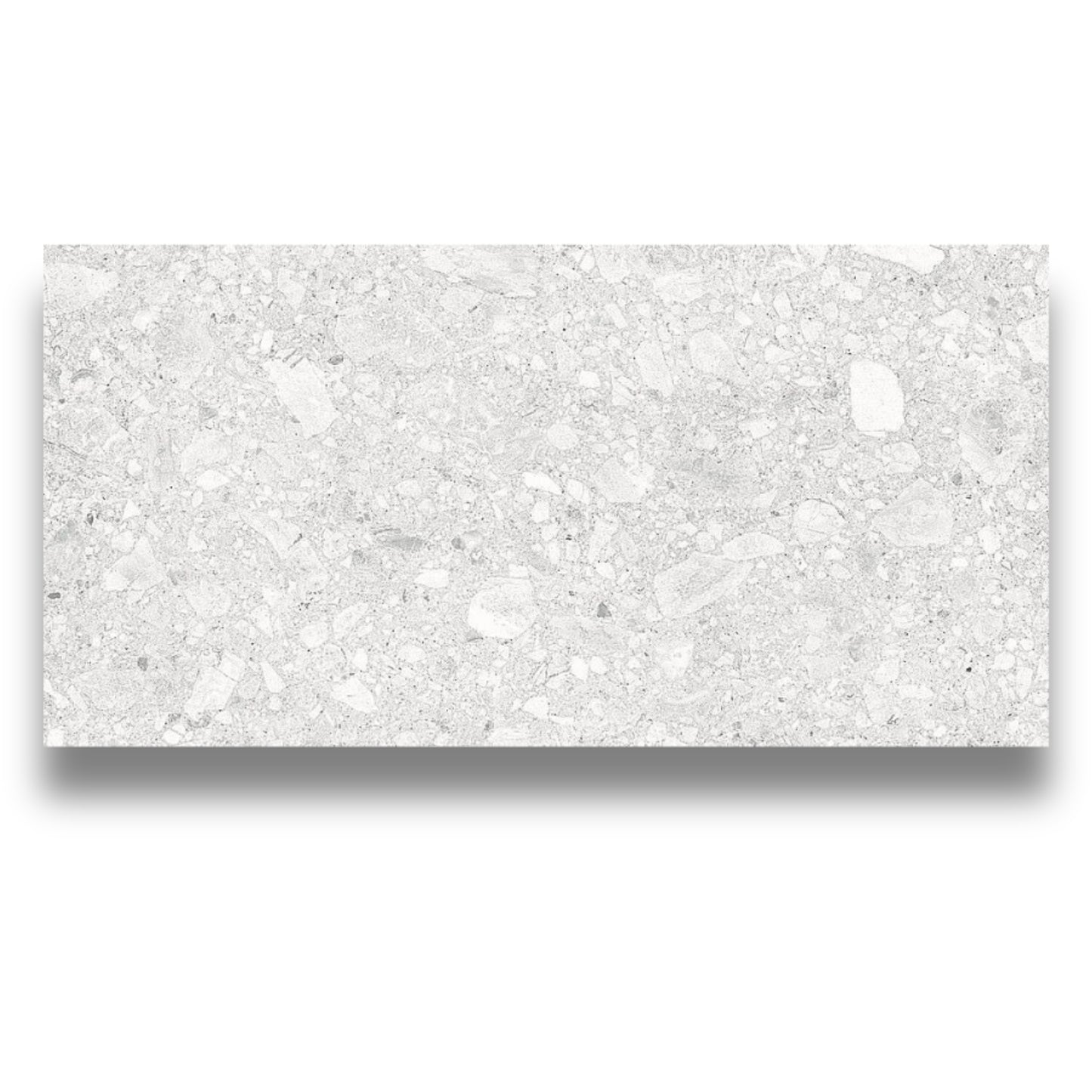 Paragon Bianco Matt 600x1200mm