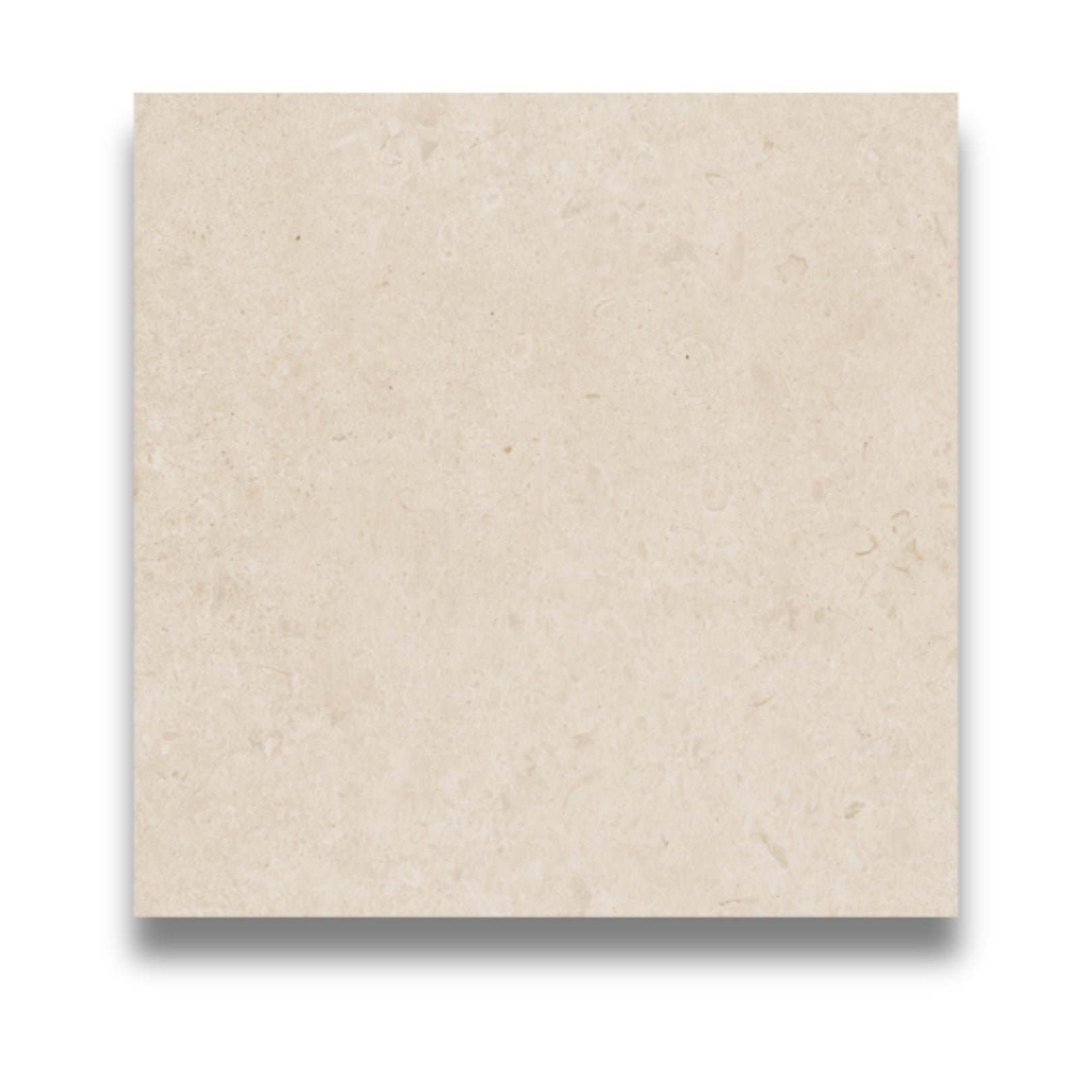 Caracter Bianco External 600x600mm – Tile Bazaar