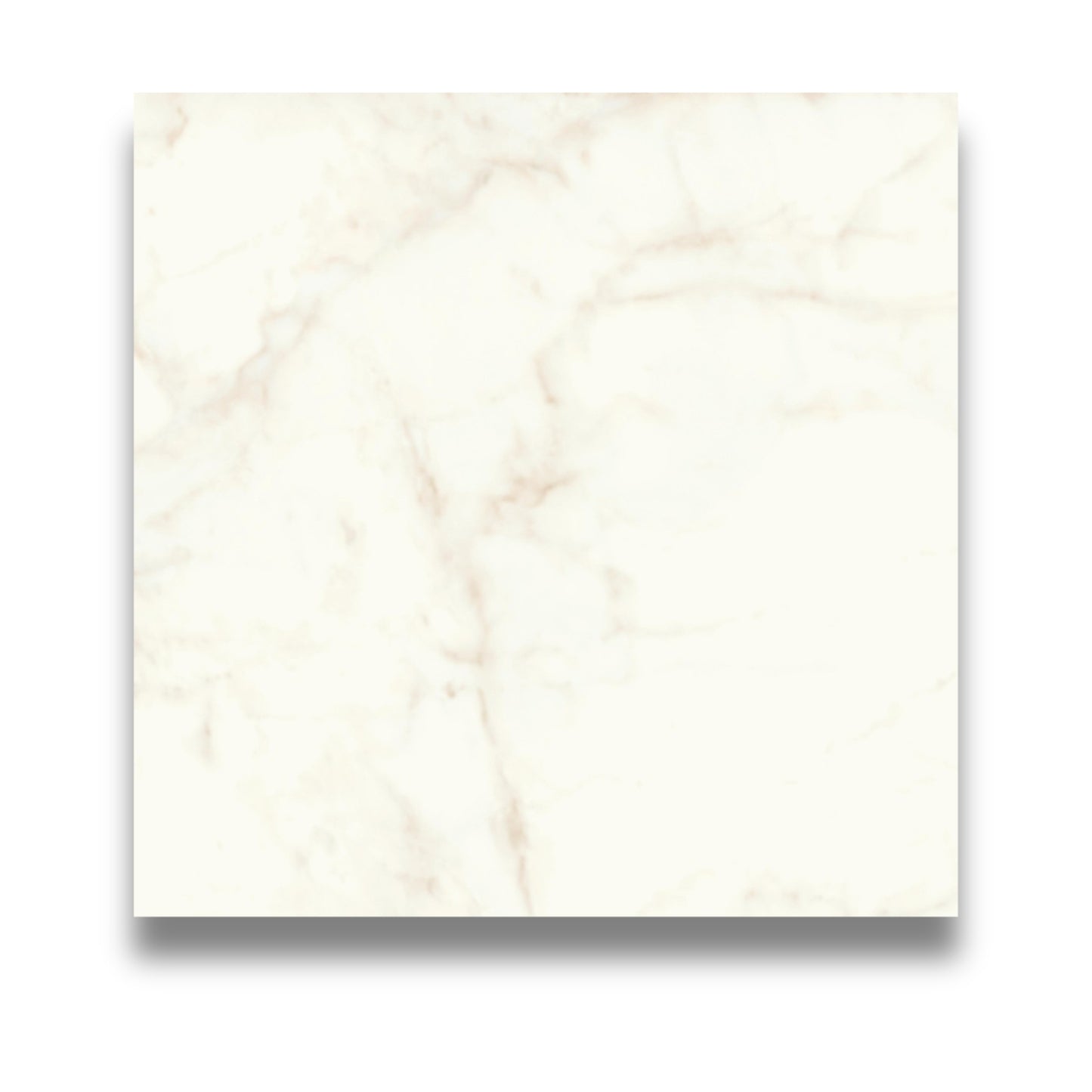 Marvel Shine Calacatta Delicato 600x600mm