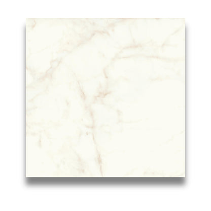 Marvel Shine Calacatta Delicato 600x600mm