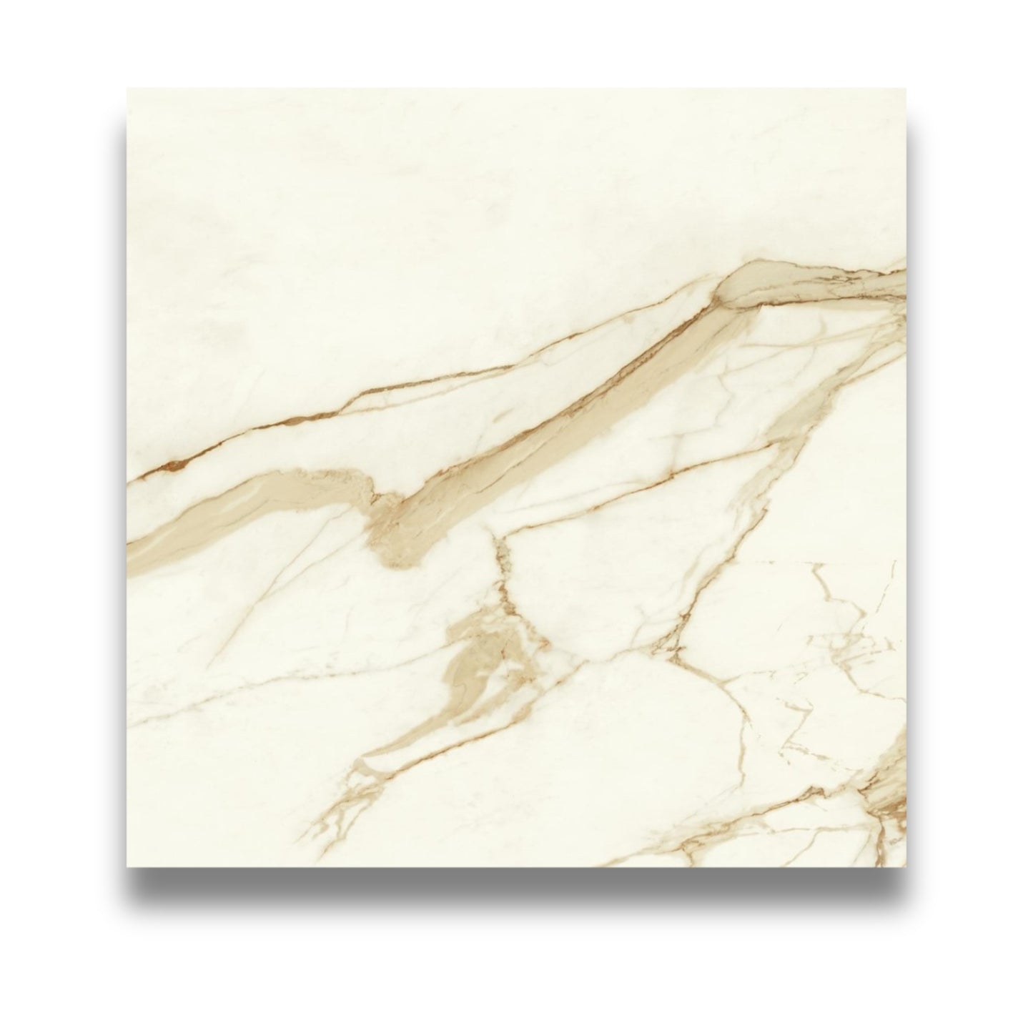 Marvel Shine Calacatta Imperiale 600x600mm