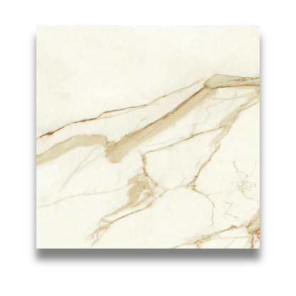 Marvel Shine Calacatta Imperiale 600x600mm