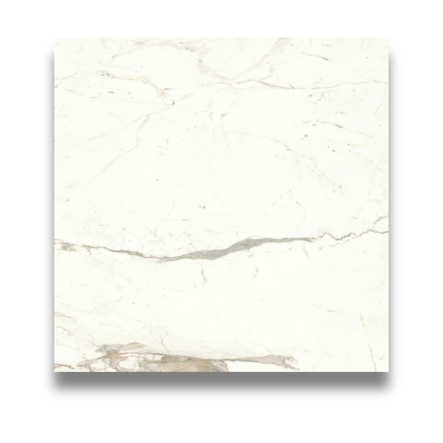 Marvel Shine Calacatta Prestigio 600x600mm