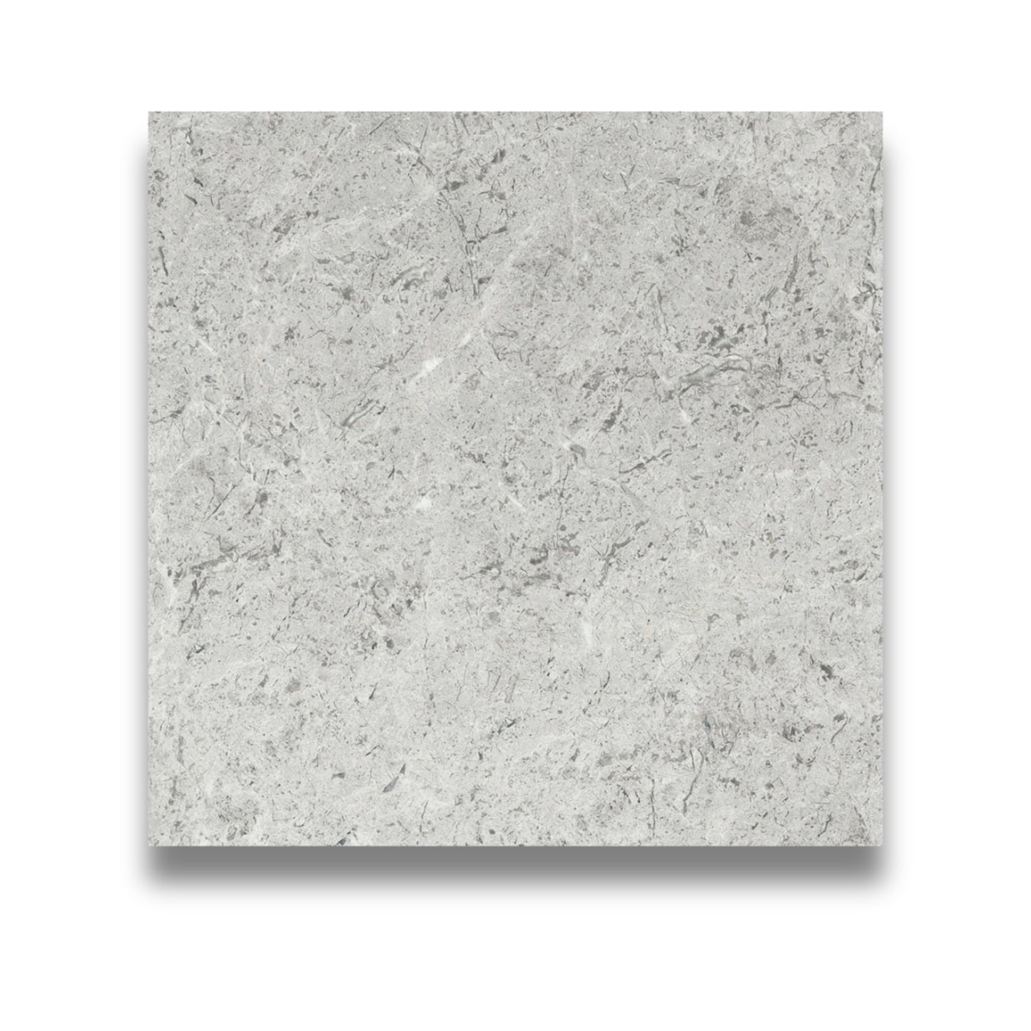 Northern Grey Matt 300x300mm