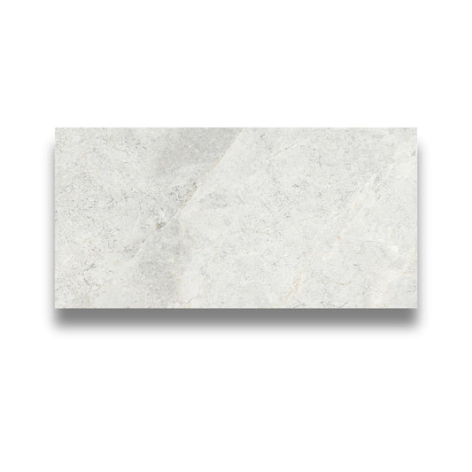 Northern Silver Matt 300x600mm