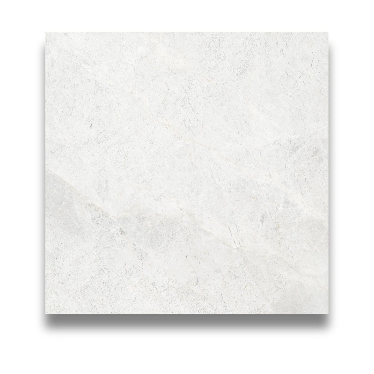 Northern White Matt 600x600mm