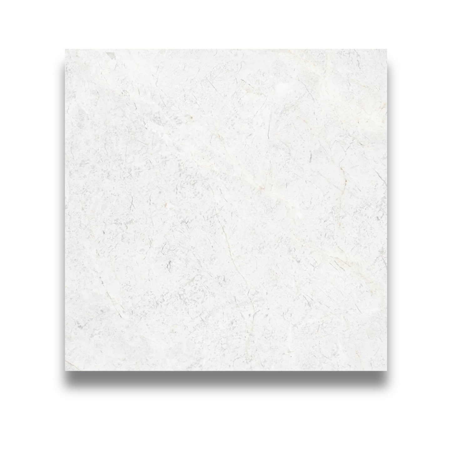 Northern White Matt 300x300mm