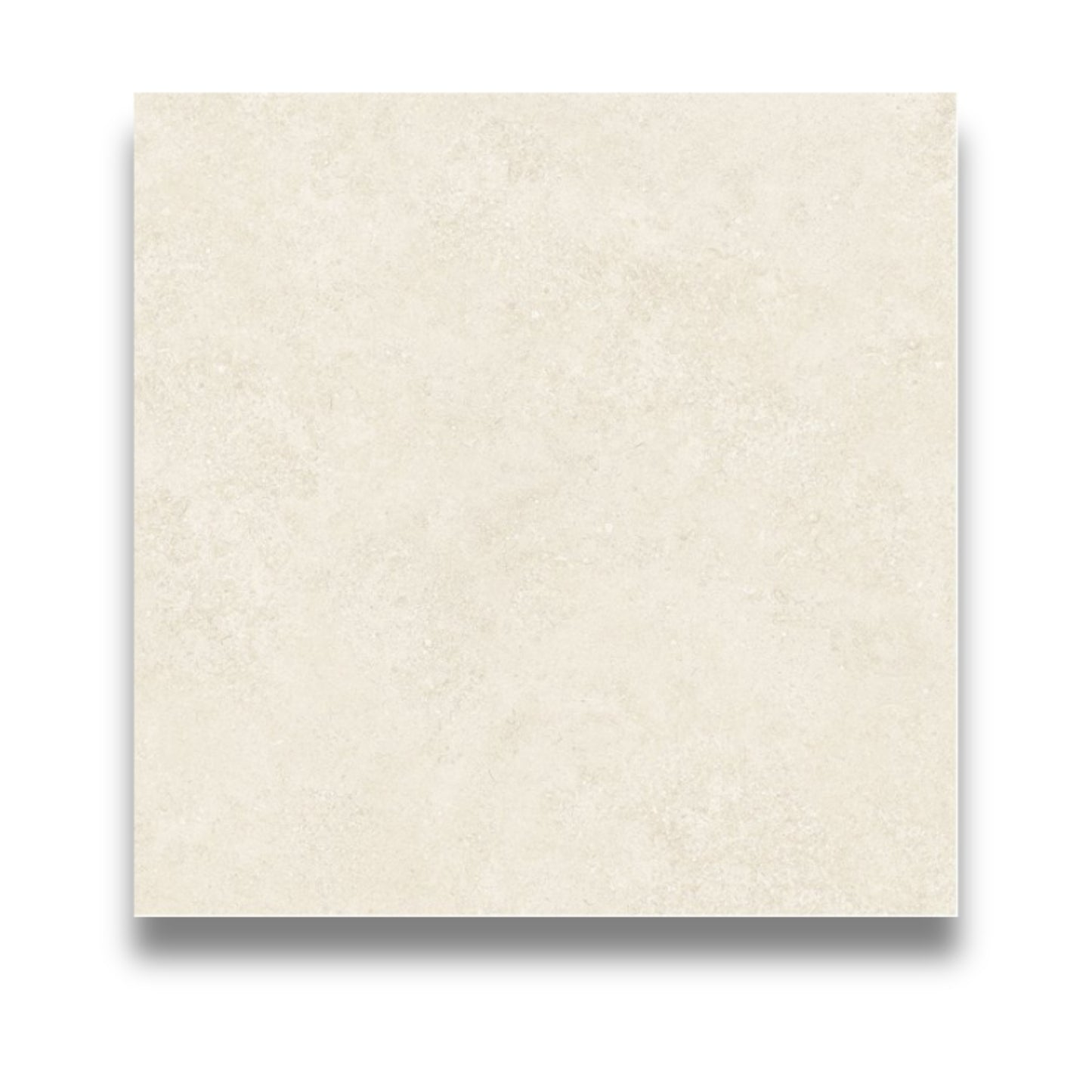 Shellstone Botticino Matt 600x600mm