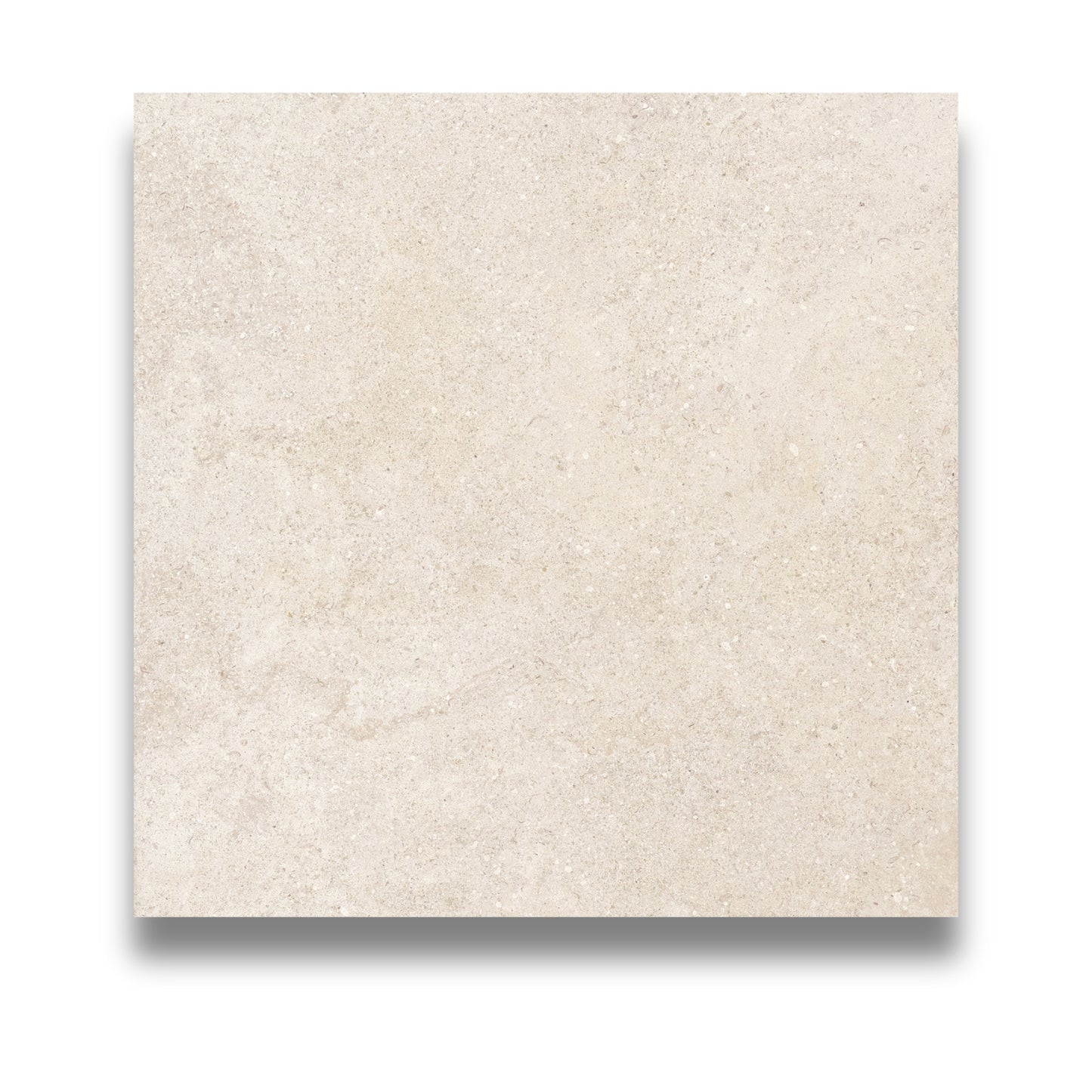 Terrene Bone Matt 600x600mm