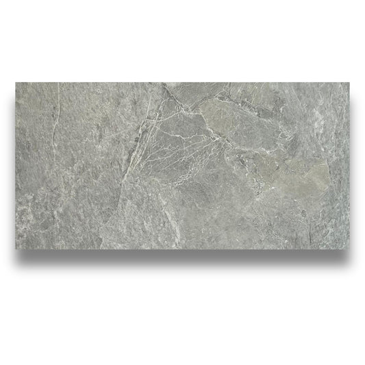 Tempo Silver Matt 600x1200mm